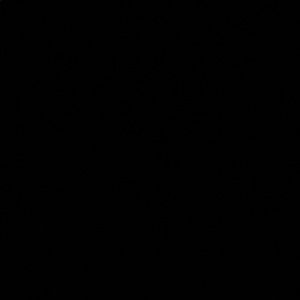 Meet your Posher, Paulina